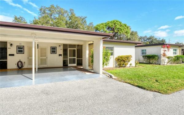 VILLAGE IN THE PINES 1