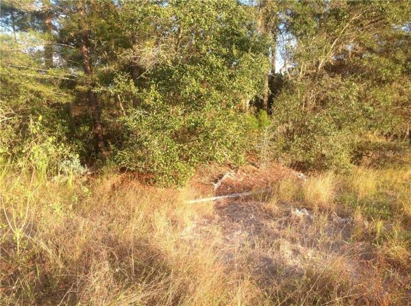 POINCIANA NBRHD 02 VILLAGE 08