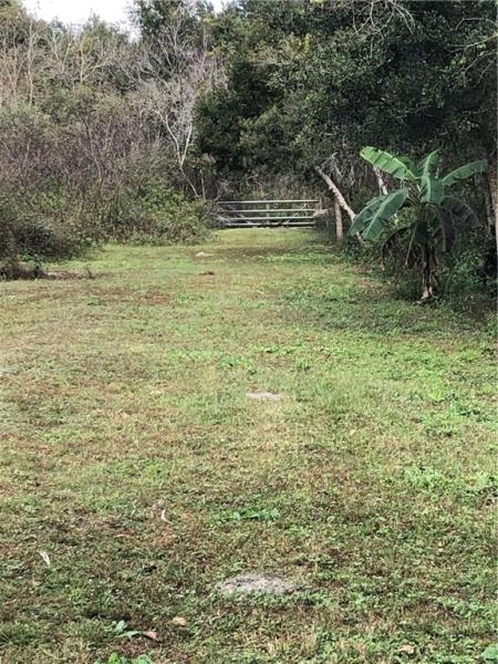 GROVELAND FARMS 36-22-24