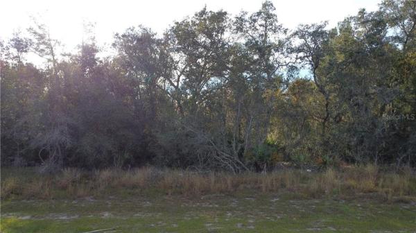 POINCIANA NBRHD 02 VILLAGE 08