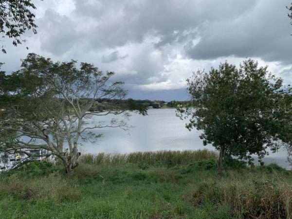 MONTVERDE MAGNOLIA TERRACE PH 02 LT 01