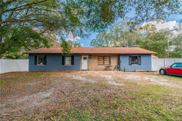 NEW RIVER RANCHETTES