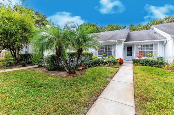 EDGEWOOD GULF TRACE REP