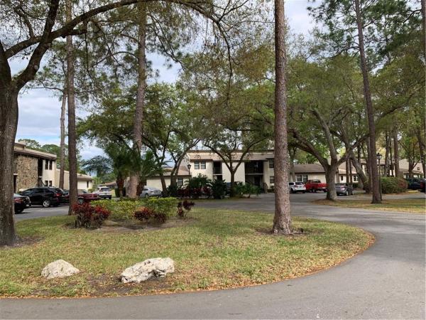 OAKS OF TARPON WOODS CONDO