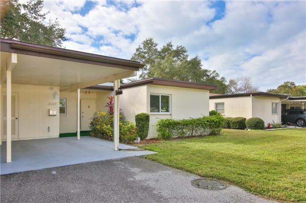 VILLAGE IN THE PINES 1