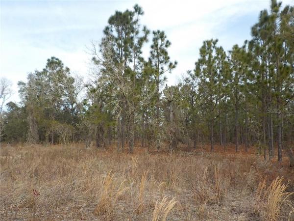 RAINBOW LAKES ESTATES SEC C