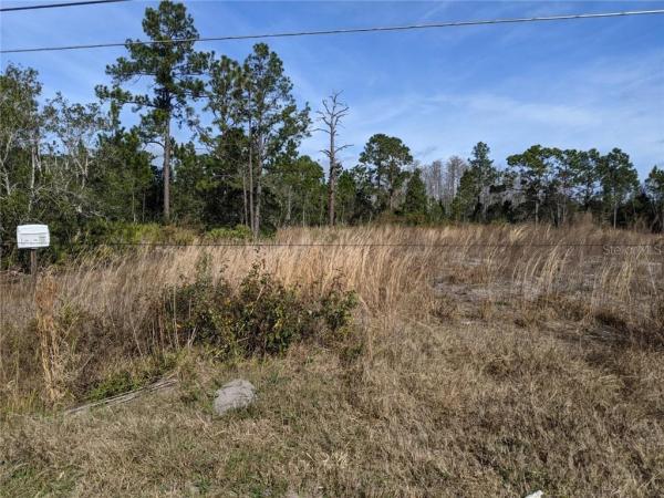 CAPE ORLANDO ESTATES