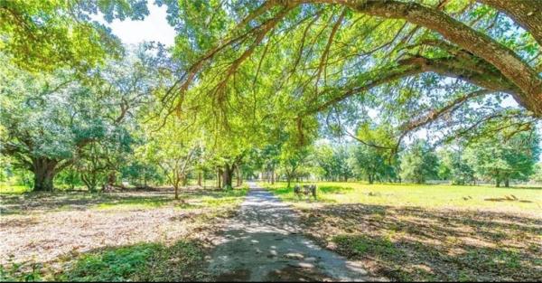 ZEPHYRHILLS COLONY CO