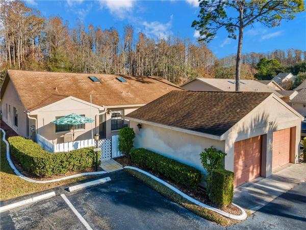 PINE RIDGE AT LAKE TARPON VILLAGE