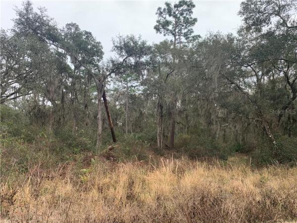 NORRIS DUPONT & GAUDRY GRANT