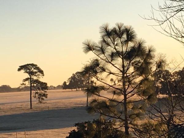 WOLF BRANCH VILLAGE PH 03 LT 58