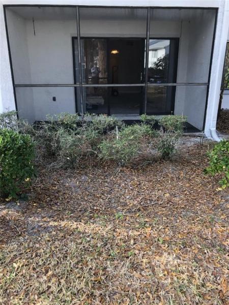 PINE RIDGE AT LAKE TARPON VILLAGE