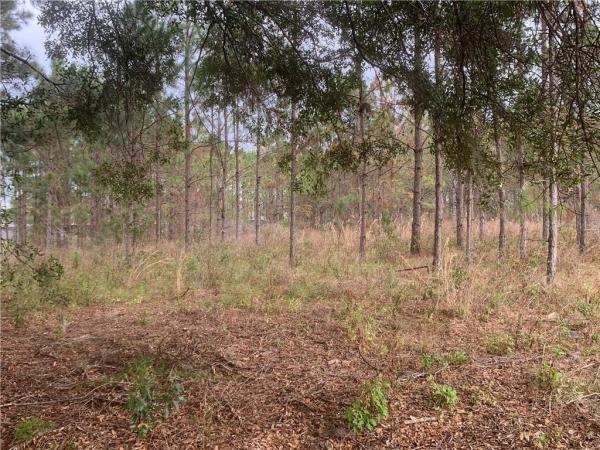 LEVY GRANT MOSES E ASSESSORS REV MAP