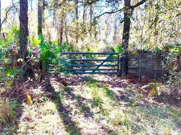 ST JOHNS RIVER ACRES