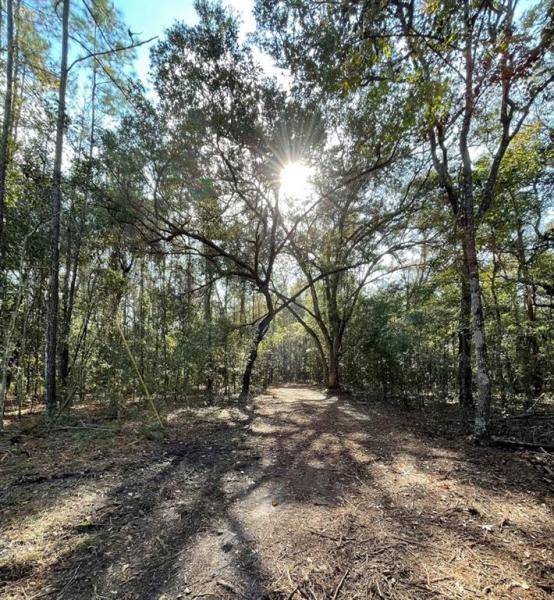 REEL LAND - CLASS 1 SUB