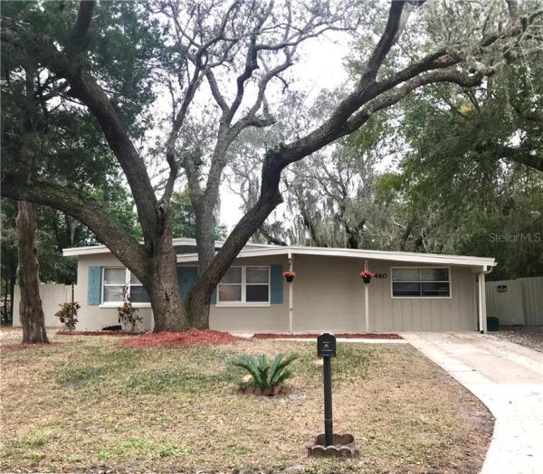 QUEENS MIRROR SOUTH REP