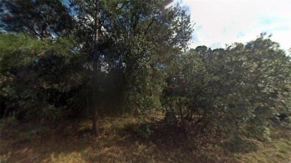 PORT CHARLOTTE SUB 27