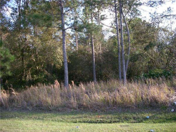 POINCIANA NBRHD 04 VILLAGE 07