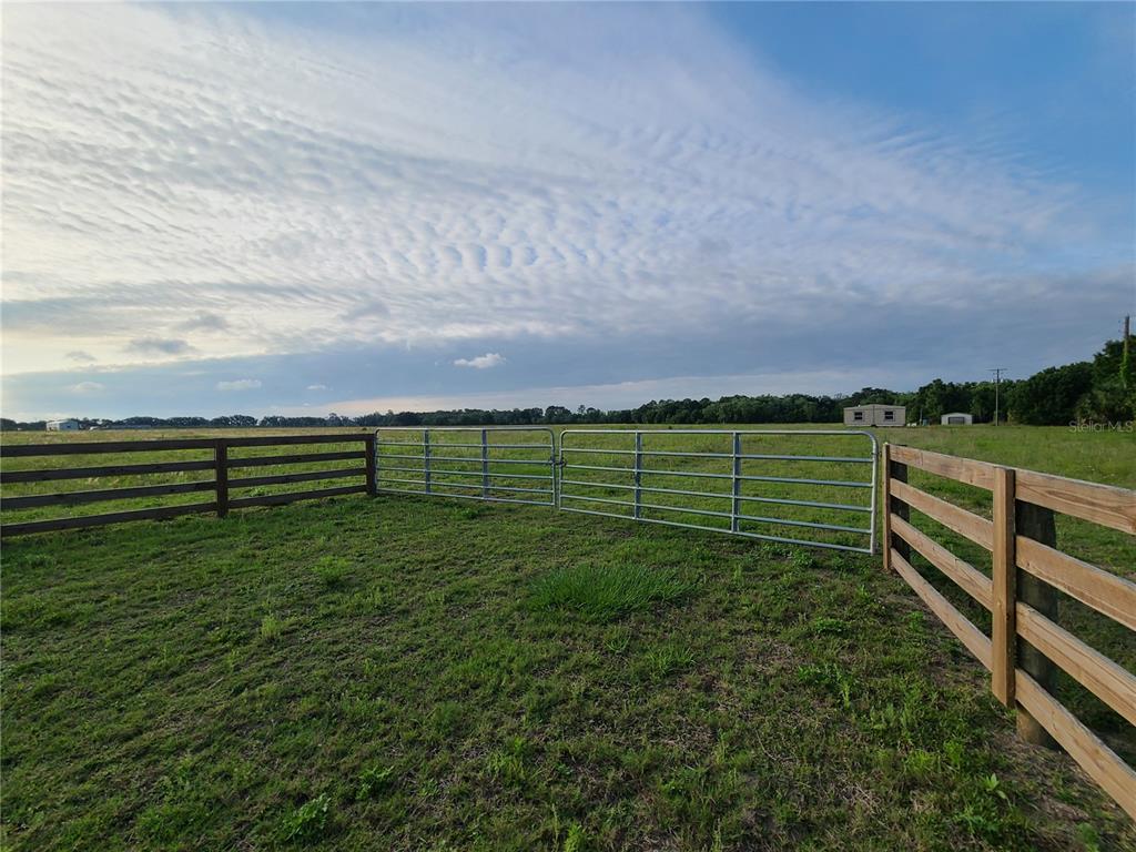 UNPLATTED - фотография UNPLATTED - фото