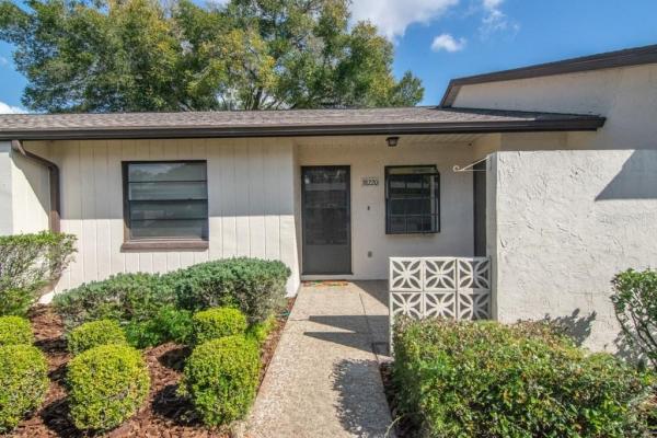 DRIFTWOOD OF ZEPHYRHILLS