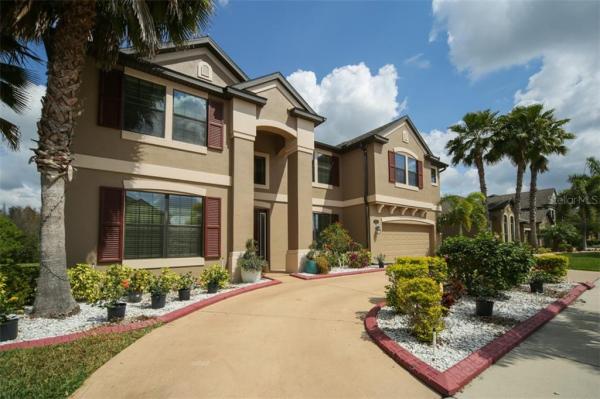 PANTHER TRACE PH 2B-3