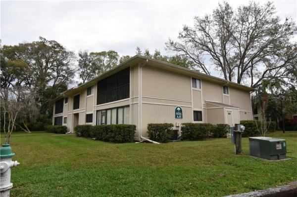 RAINTREE VILLAGE CONDO N