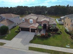 VILLAGES/PINE TREE SPRUCE PINE