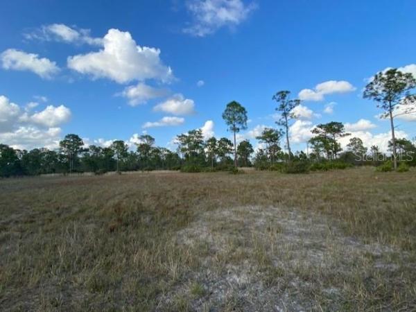 CHARLOTTE RANCHETTES #444 & 44