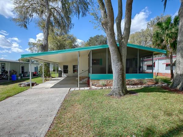 WATER WHEEL ADULT MOBILE HM CM