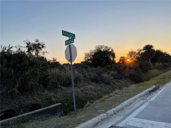 SANFORD CELERY DELTA