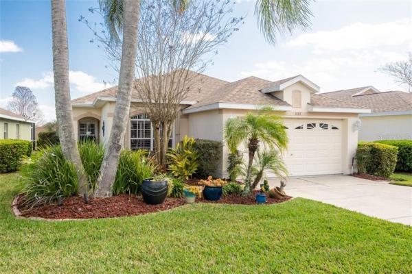 PLANTATION PALMS PH 01