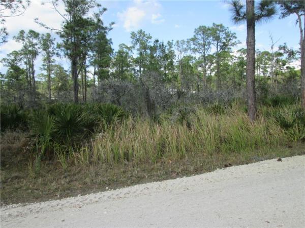 ORANGE BLOSSOM ESTATE