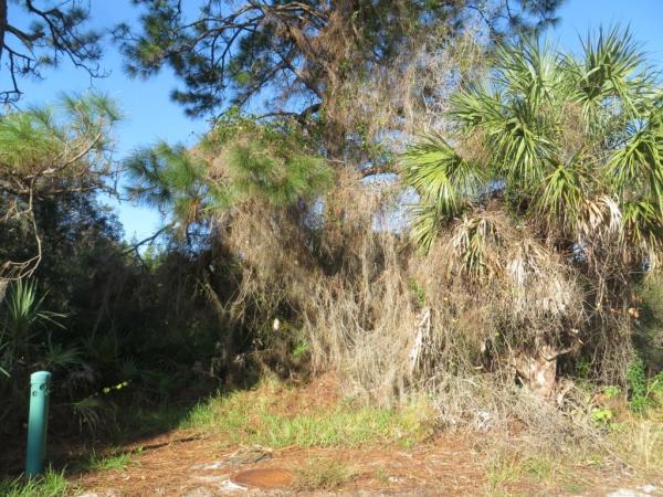 MANASOTA GARDENS 1ST ADD