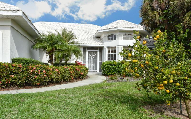 CAPE HAZE WINDWARD - фото