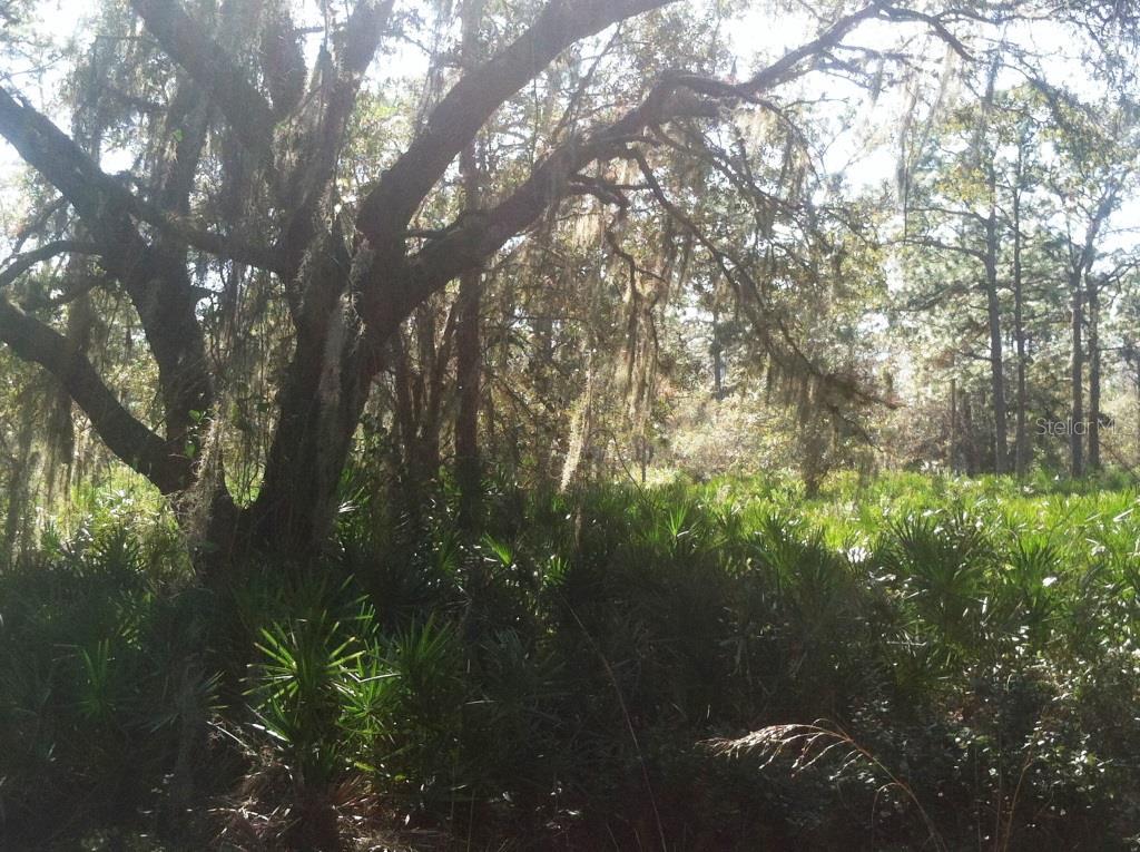 ACREAGE & UNREC - фото