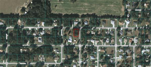 ORANGE BLOSSOM HILLS 09