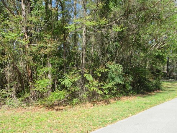 RAINBOW SPRINGS COUNTRY CLUB ESTATES