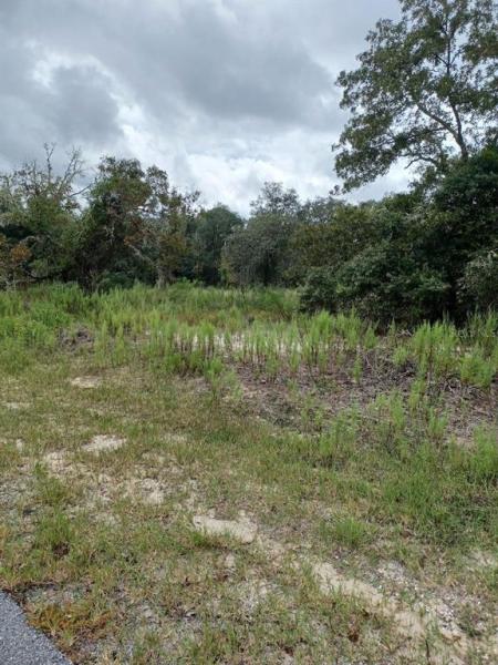 RAINBOW LAKES ESTATES SEC J