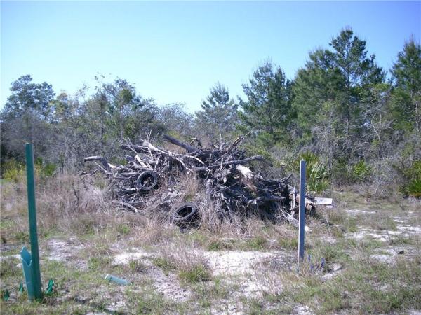 POINCIANA NBRHD 02 VILLAGE 08