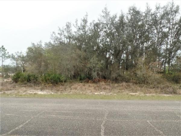 POINCIANA NBRHD 02 WEST VILLAGE 07