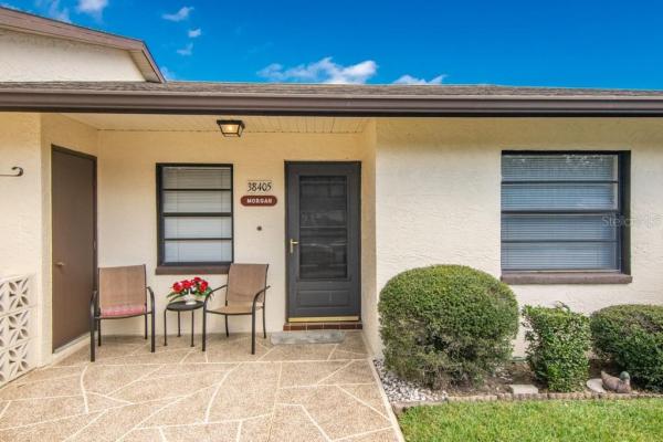 DRIFTWOOD OF ZEPHYRHILLS