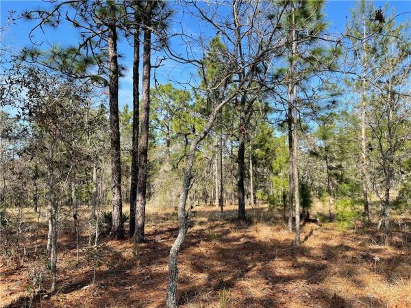 SOUTHWORTH-CLASS 1 SUB
