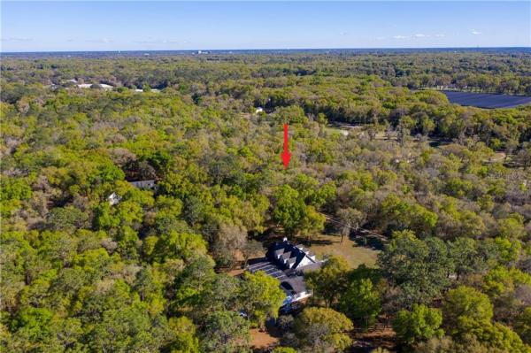 NORRIS DUPONT & GAUDRY GRANT