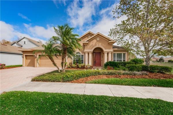 GREY HAWK/LK POLO PH 02