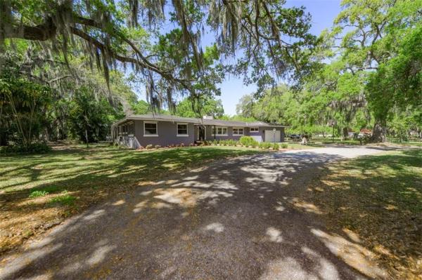 WYMAN & BAUM CONTINUED