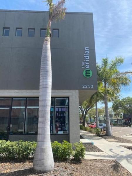 MERIDIAN THE AT ST PETERSBURG CONDO