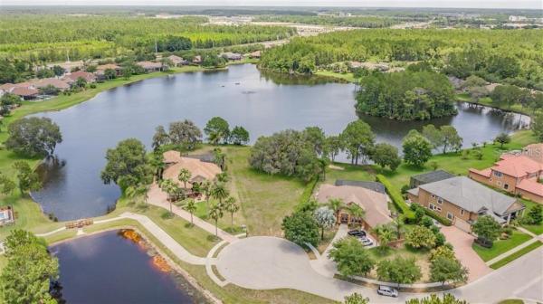 GREY HAWK AT LAKE POLO