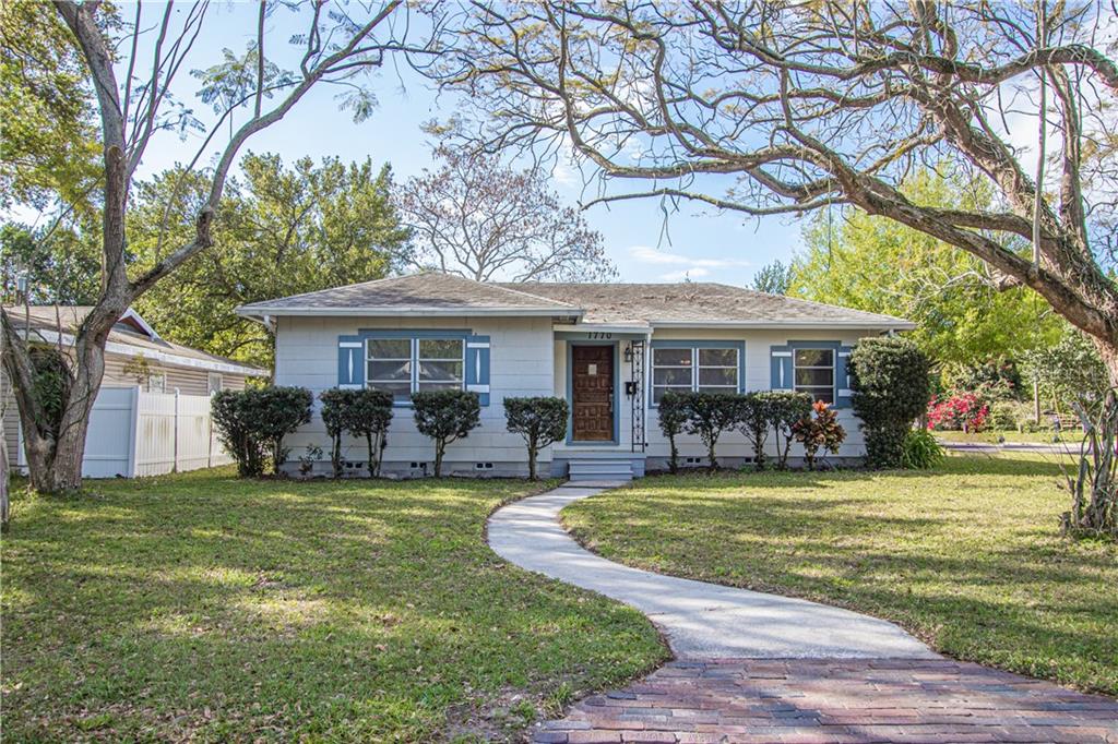 LAKE EUCLID - фото