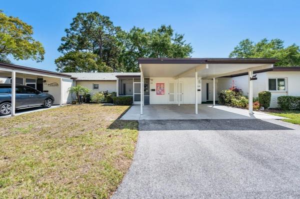 VILLAGE IN THE PINES 1