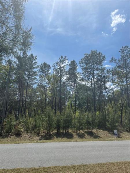 OCALA WATERWAY ESTATES